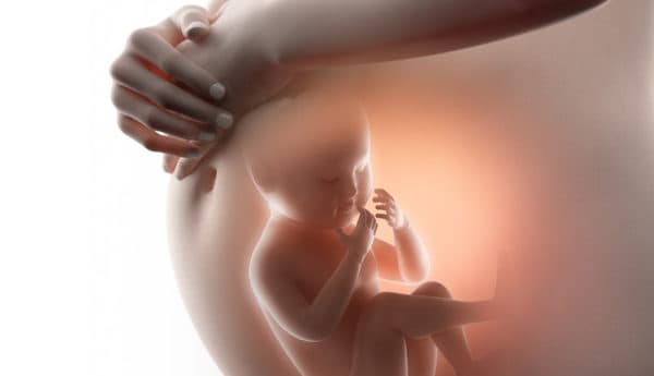 Gynaecology and Obstetrics at Al Afdal Medical Center Sharjah