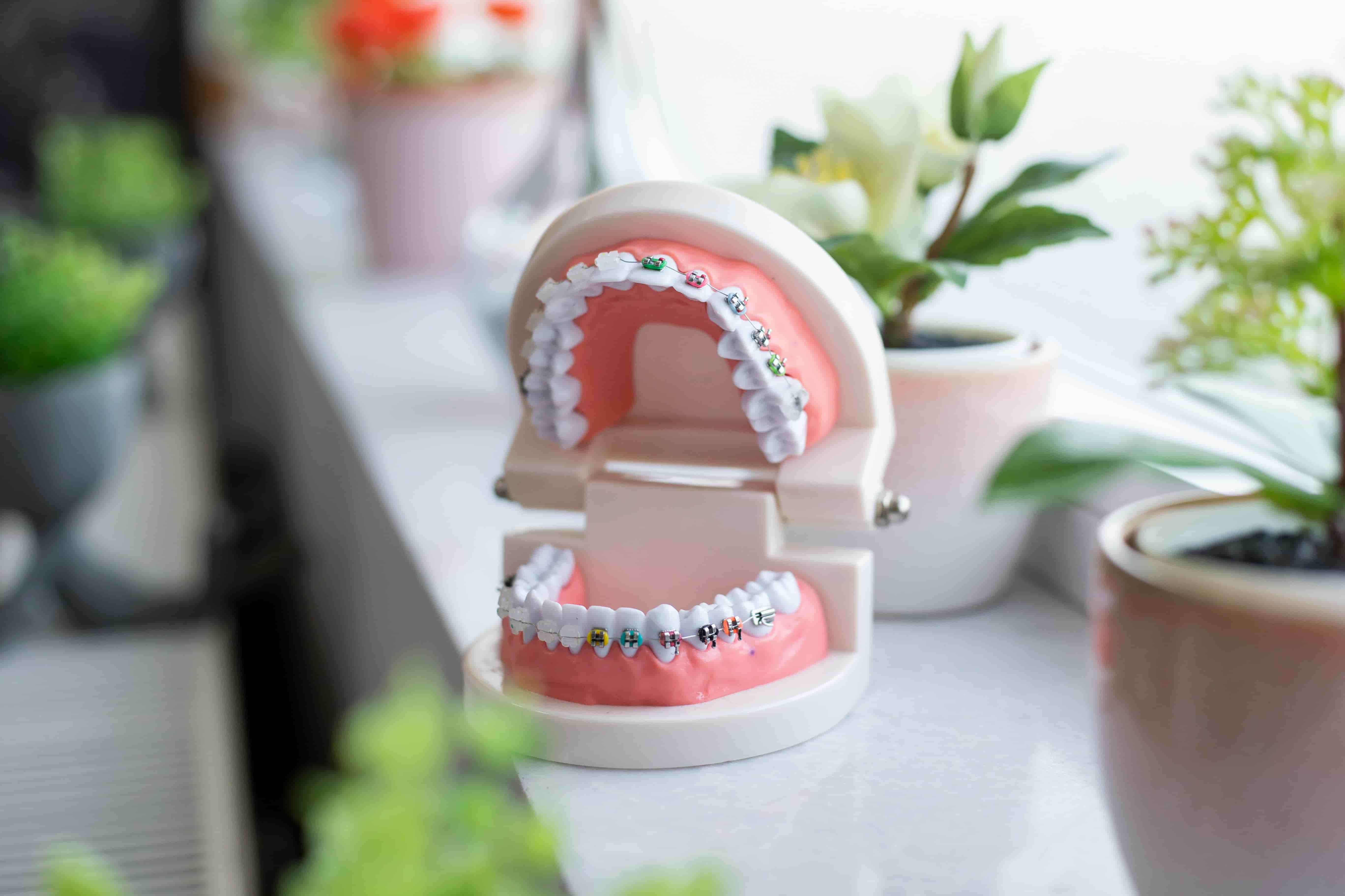 Orthodontist